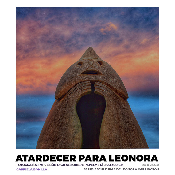 Atardecer para Leonora, Gabriela Bonilla