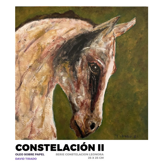 Constelación II, David Tirado