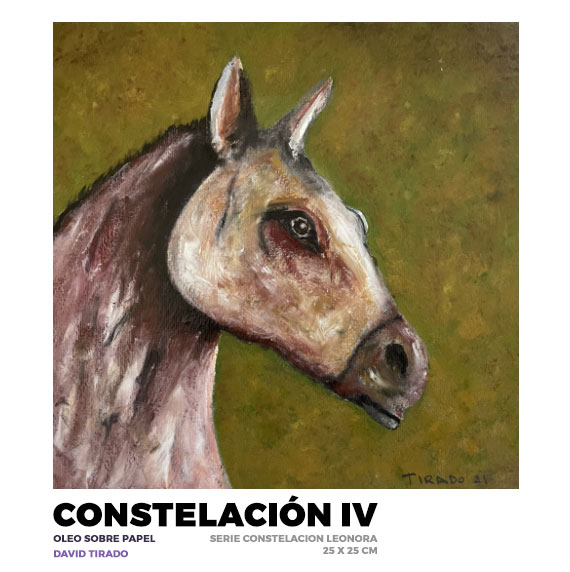 Constelación IV, David Tirado
