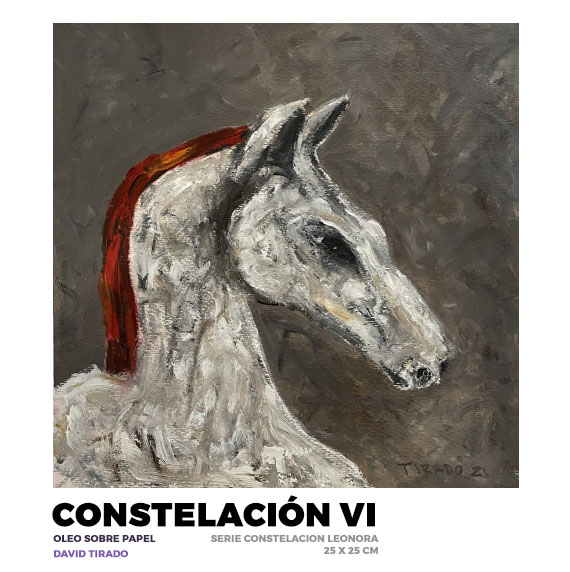 Constelación VI, David Tirado
