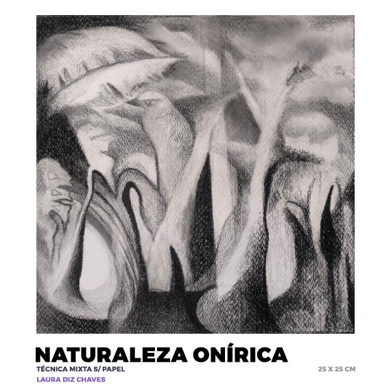 Naturaleza onírica, Laura Diz Chaves