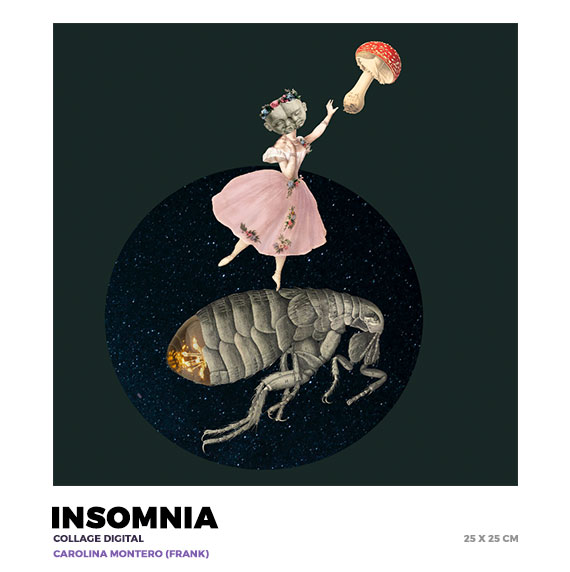 Insomnia, Carolina Montero