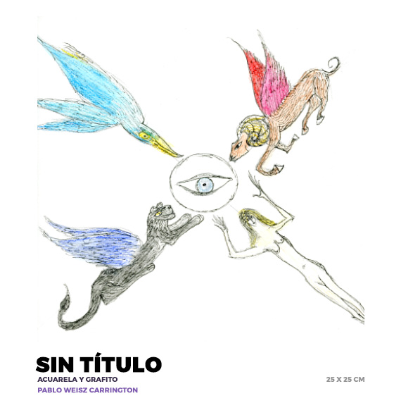 Sín título, Pablo Weiz Carrington