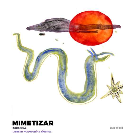 Mimetizar, Lizbeth Urias