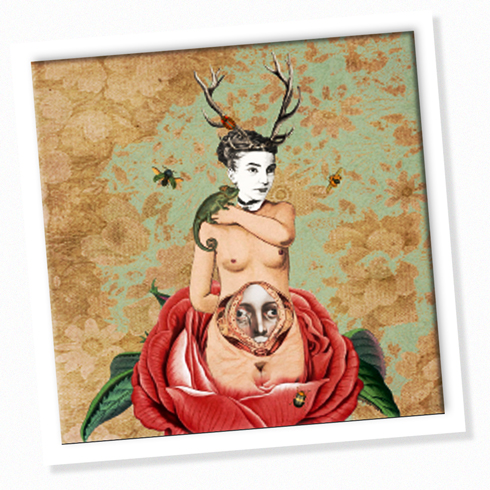 Carolina Montero (Frank)