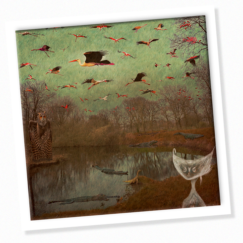 Laura Castañeda García (Loris)